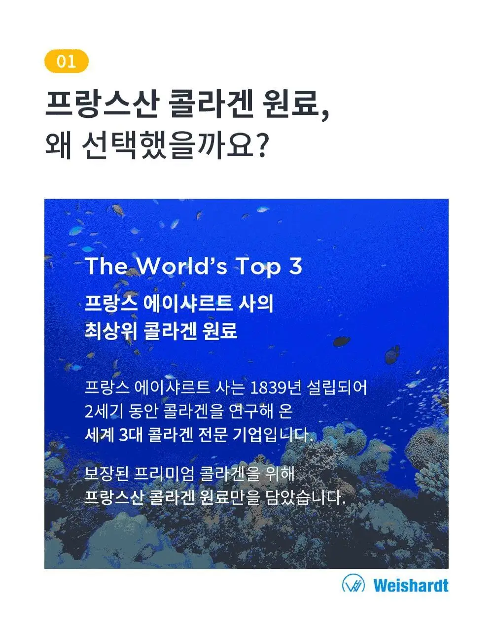 [올영단독] 레놉티 시너업콜라겐 7포 (7일분) 상세페이지 40